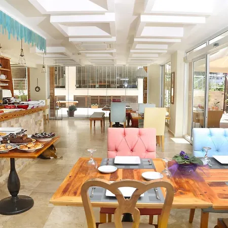 Hotel Saylam 4*