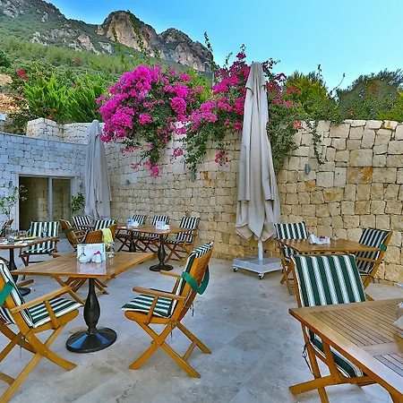 Saylam Kaş